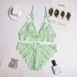 Women‘s Christmas Lingeries Gift Lace Bras Fixed Straps Sheer Bras Triangle Cup V Neck Breathable Lace Hook & Eye Date Casual Daily Xmas Sexy 1 Set White Black / Bra & Panty Set -Deals The Sexy Bra Store dseeyy1639398797530