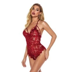 Women‘s Christmas Lingeries Gift Ladies Sexy Tight Open Crotch Free Cutout Hollow Lace Backless Bodysuit -Deals The Sexy Bra Store inytxu1662521259334
