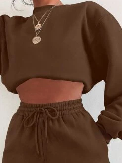 Women's Lounge Sets 2 Pcs Sweatsuit Sweatshirt And Shorts Pure Color Fashion Casual Comfort Street Daily Date Cotton Breathable Crew Neck Long Sleeve Shorts Fall Winter Pink Blue -Deals The Sexy Bra Store qlsuyn1691566015835