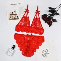 Women‘s Christmas Lingeries Gift Lace Bras Fixed Straps Sheer Bras Triangle Cup V Neck Breathable Lace Hook & Eye Date Casual Daily Xmas Sexy 1 Set White Black / Bra & Panty Set -Deals The Sexy Bra Store uwwlxj1639398799359