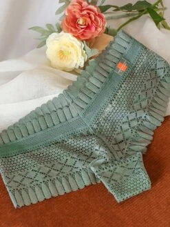 Women's Flower Lace Hole Simple Pure Color Basic Panties Brief Micro-elastic Mid Waist Sexy Nylon 1 PC Green One-Size -Deals The Sexy Bra Store xcemfi1637930144208