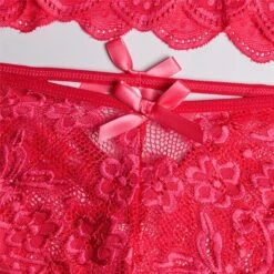 Women‘s Christmas Lingeries Gift Lace Bras Fixed Straps Sheer Bras Triangle Cup V Neck Breathable Lace Hook & Eye Date Casual Daily Xmas Sexy 1 Set White Black / Bra & Panty Set -Deals The Sexy Bra Store ypcbvk1639398801995