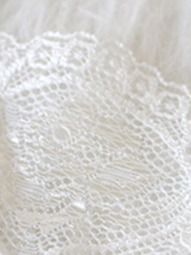 Women's Lace Bras Double Strap Sheer Bras 3/4 Cup V Neck Breathable Lace Pure Color Hook & Eye Date Valentine's Day Casual Daily Nylon Sexy 1 Set Black 5 Women's Lace Bras Double Strap Sheer Bras 3/4 Cup V Neck Breathable Lace Pure Color Hook & Eye Date Valentine's Day Casual Daily Nylon Sexy 1 Set Black - Image 5