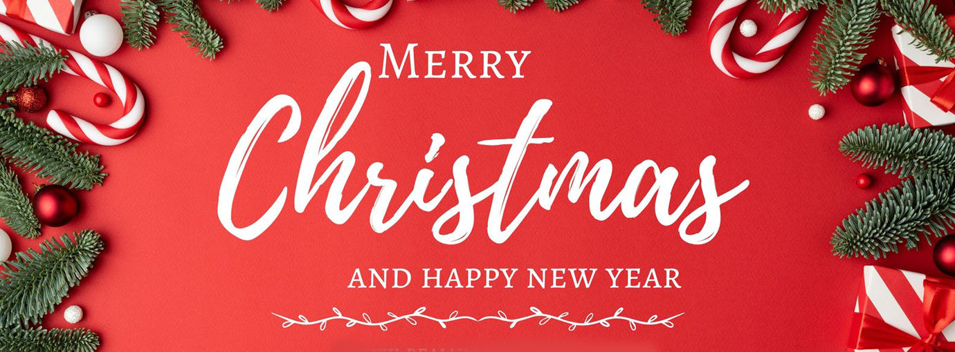 Deals The Sexy Bra Store -Deals The Sexy Bra Store 69